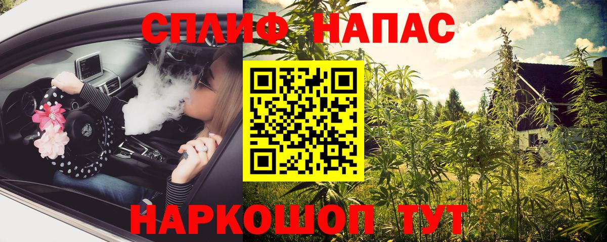 Бошки Шишки конопля Выкса